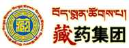 新鄉(xiāng)市宏達(dá)振動(dòng)設(shè)備有限責(zé)任公司