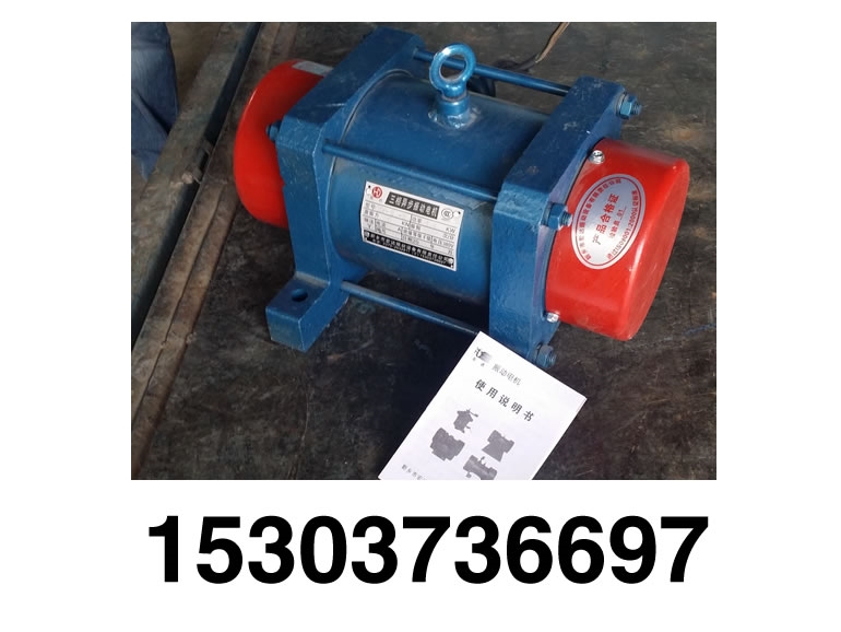 YZDP系列振動(dòng)電機(jī)